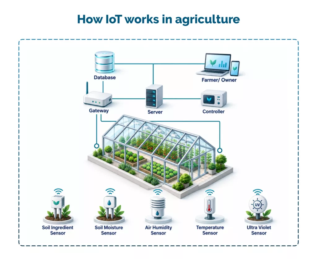 How IoT works in agriculture