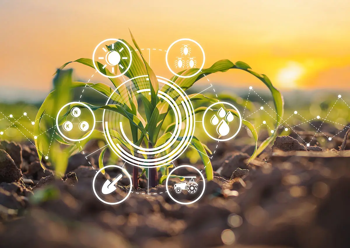 Top 3 Smart Agriculture Solutions to Resist Climate Changes