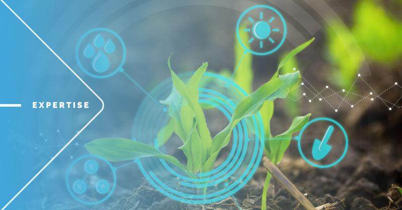 The Future of Agricultural Industry Using IoT