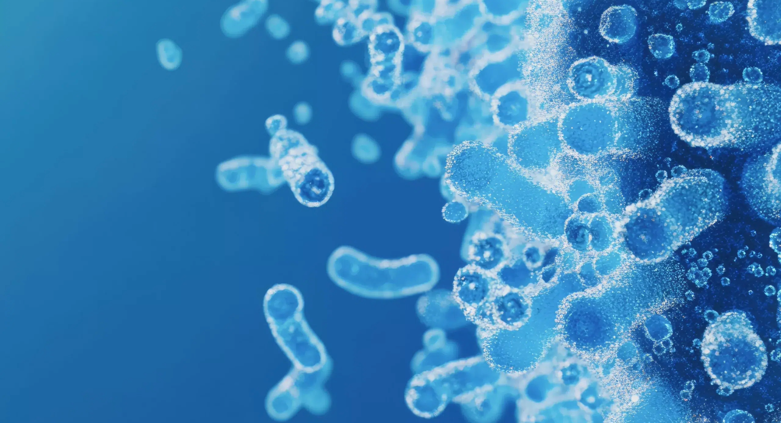 Legionella Risk Prevention