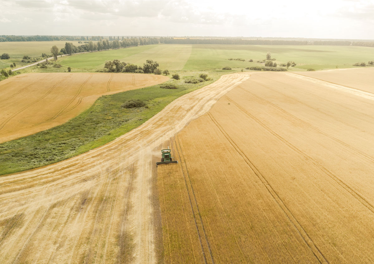 Providing the Agricultural Sector with Smart and Cost-Efficient Connectivity Options