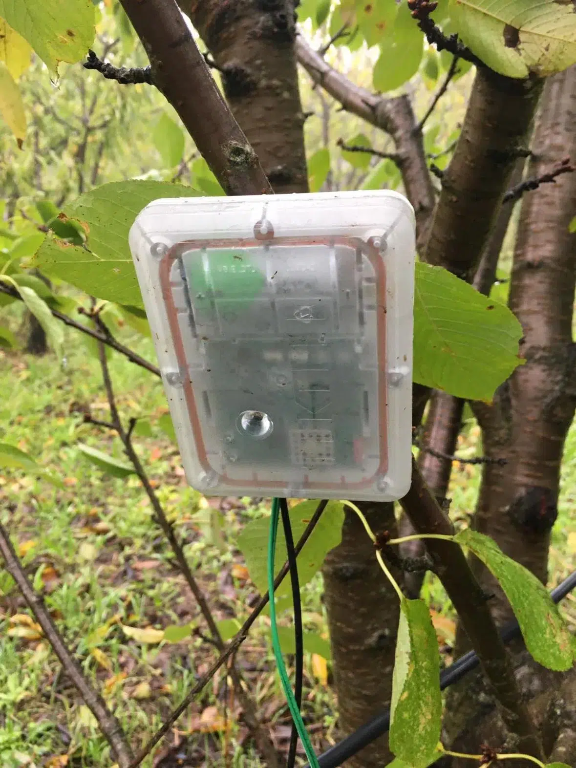 TEKTELIC KIWI Agriculture Sensor