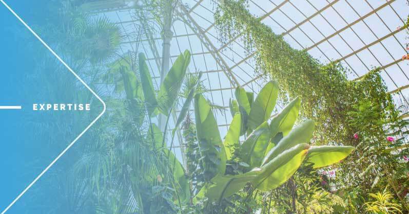 How to Improve Monitoring of Greenhouse Environment Using IoT?