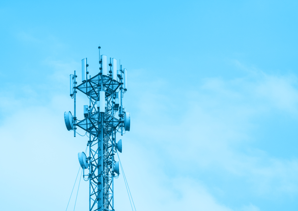 The Neighbour Problem: LoRaWAN and Cellular Networks Living Side-by-Side