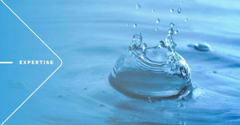 Reducing Water Consumption with the Internet of Things
