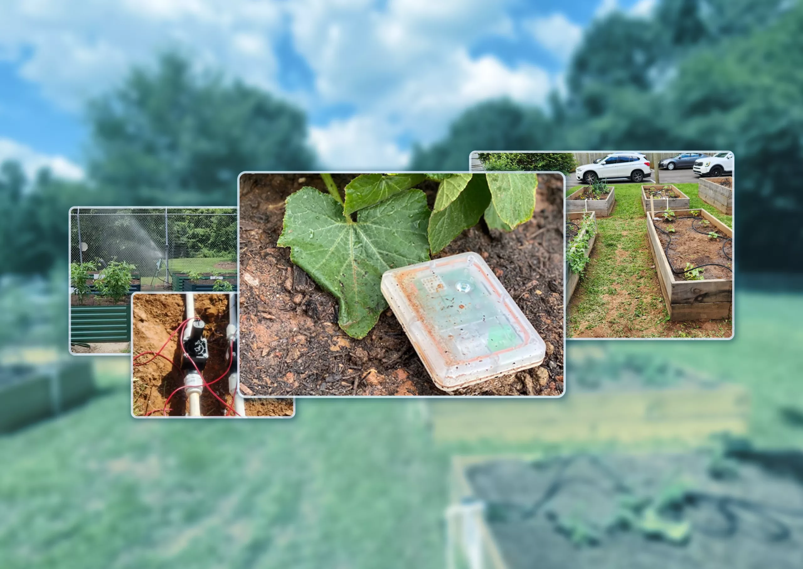 Transforming Community Gardens with Automated Irrigation